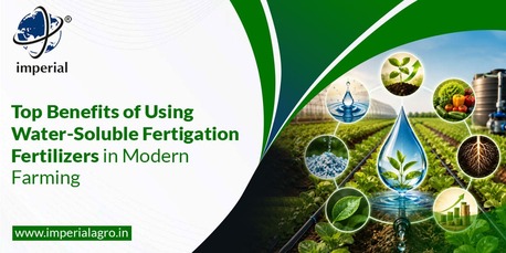 INR 01,  Fertigation Fertilizers Distributor In Vadodara | Imperialagro