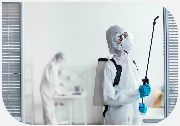 Fumigation Services In Mumbai For Effective Pest Control And Complete Protection