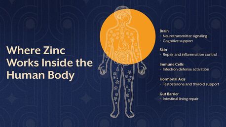 Signs Of Zinc Deficiency You Should Not Ignore photo 1