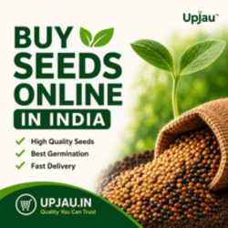 INR 19,  Buy Seeds Online In India – Premium Quality Seeds At Upjau