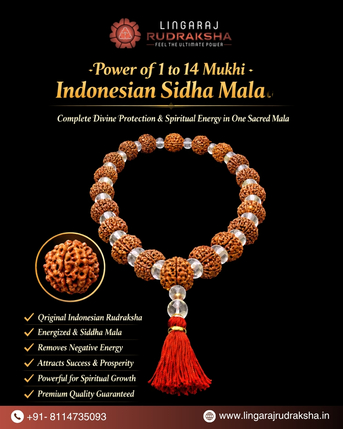 Best Rudraksha Shop In Hyderabad