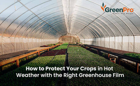 High-Yield Greenhouse Films | Crop Protection | GreenPro  Ventures photo 1