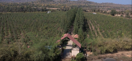 Tax Benefits Of Owning Agricultural Land Near Nagpur
