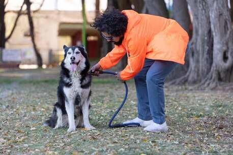 Dog Training Service In Bhubaneswar