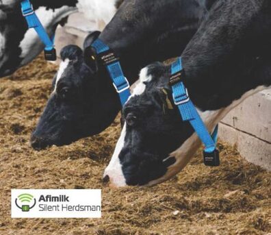 Buy Automatic Cow Identification System From Vansun Milking For Complete Herd Control photo 1