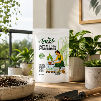 INR 1,  Best Pot Media Conditioner For Indoor & Balcony Plants photo 1