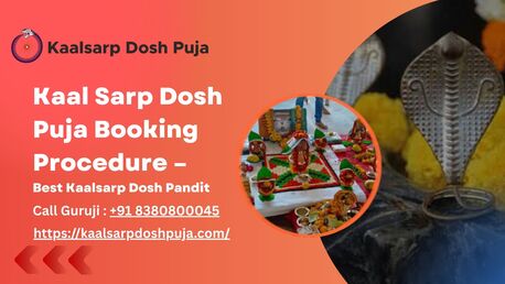 Kaal Sarp Dosh Puja Booking Procedure – Best Kaalsarp Dosh Pandit photo 1