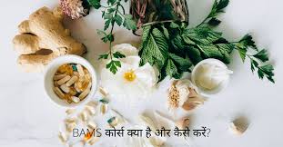 BAMS Admission 2026:Maharana Pratap Ayurvedic Medical College Fees And Admission Procedure photo 1