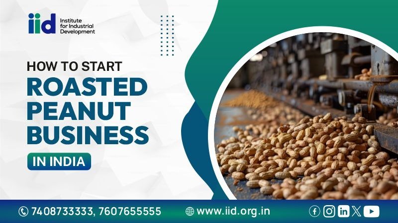 Best Business Guide for Roasted Peanuts Manufacturing in India