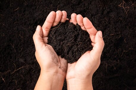 Black Soil photo 1