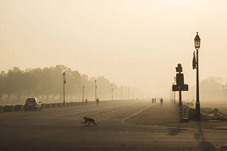 Delhi Weather In Winter photo 1