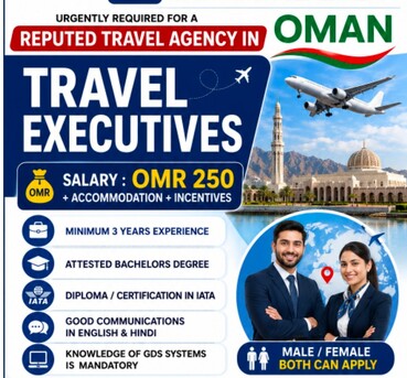 Travel Executive (Male / Female) photo 1