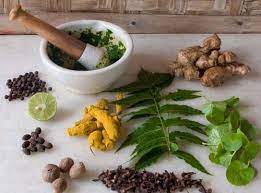 BAMS Admission 2026:Bapu Ayurvedic Medical College Fees And Admission Procedure. photo 1