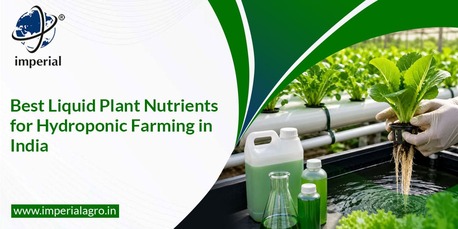 INR 01,  Liquid Plant Nutrients Distributor In Gujarat | Imperialagro