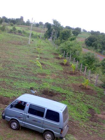 Required Experienced Horticulturist To Develop A Plant Nursery