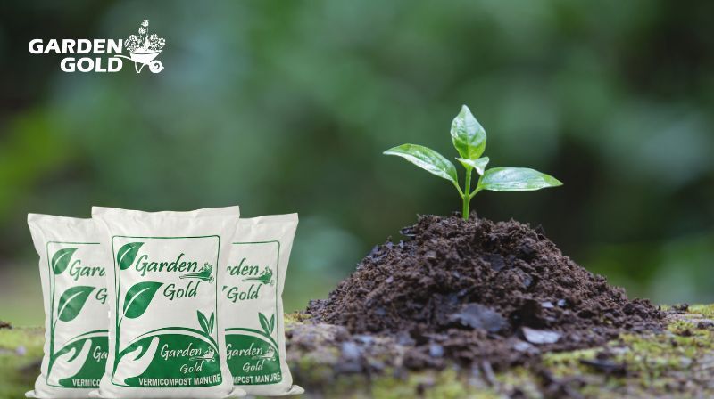INR 300,  Process Of Vermicompost: Step-by-Step Guide For Organic Composting photo 1
