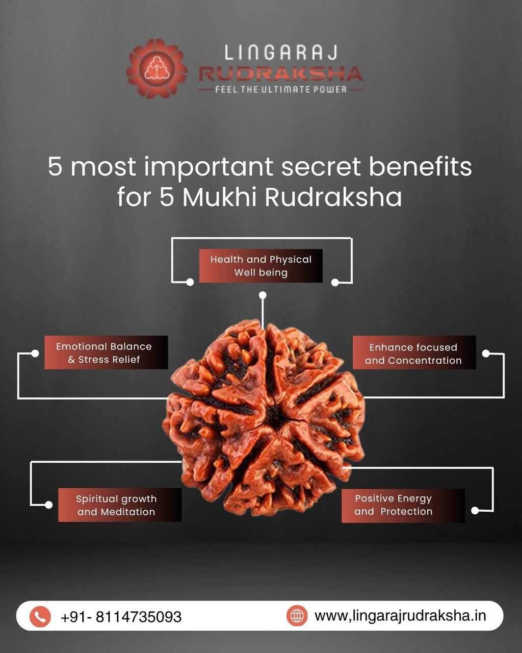 Best Rudraksha Shop In Kolkata