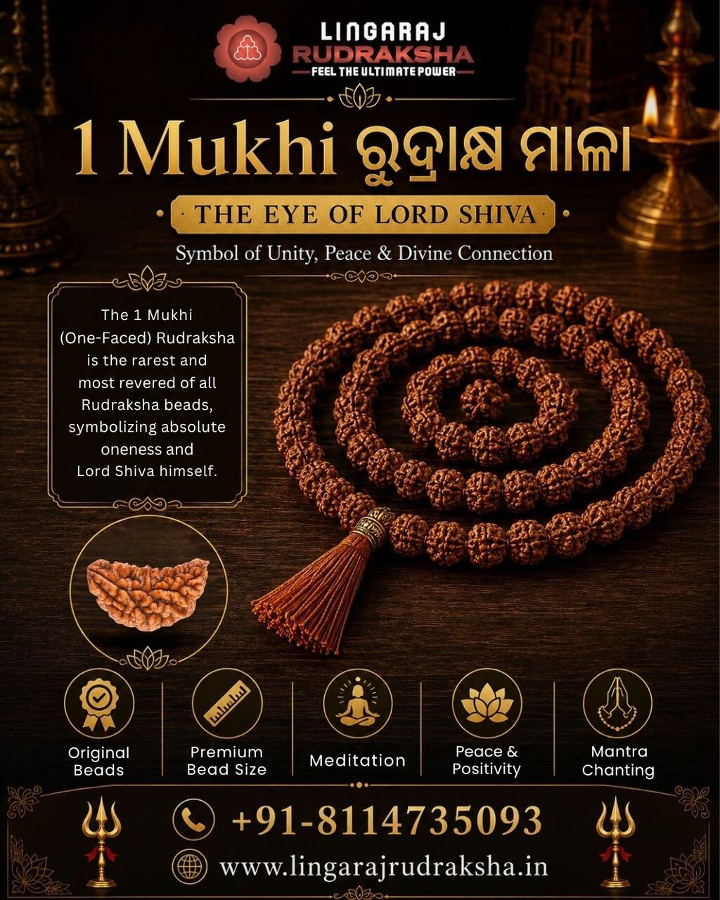 Best Rudraksha Collection In Bangalore