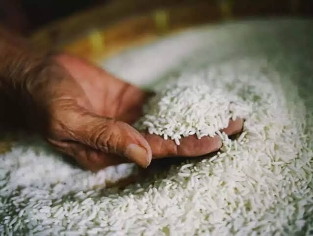 Export Of Basmati Rice From India To Turkey | Tasty Grain
