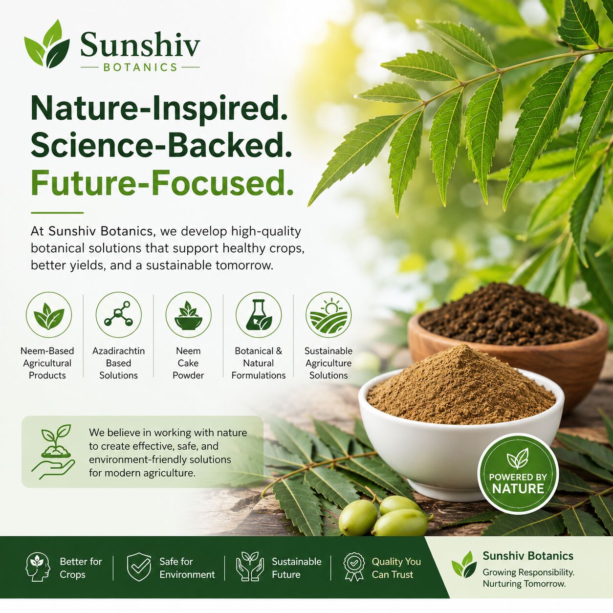 Azadirachtin Technical Powder Manufacturers In India | Premium Neem-Based Technical Powder