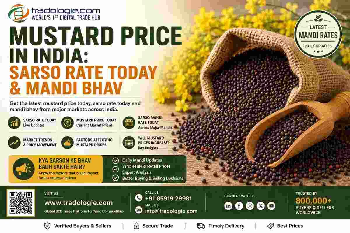 INR 25,  Mustard Price In India: Sarso Rate Today & Mandi Bhav
