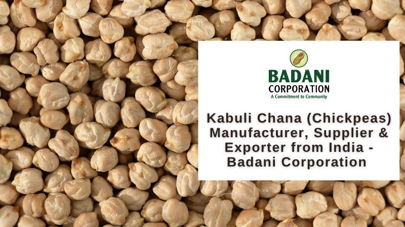 Kabuli Chana (Chickpeas) Supplier & Exporter From India – Badani Corporation