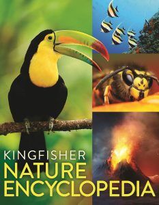 INR 254,  Shop Story Books Online At Om Books Chennai And Delhi's Best Book Store photo 1