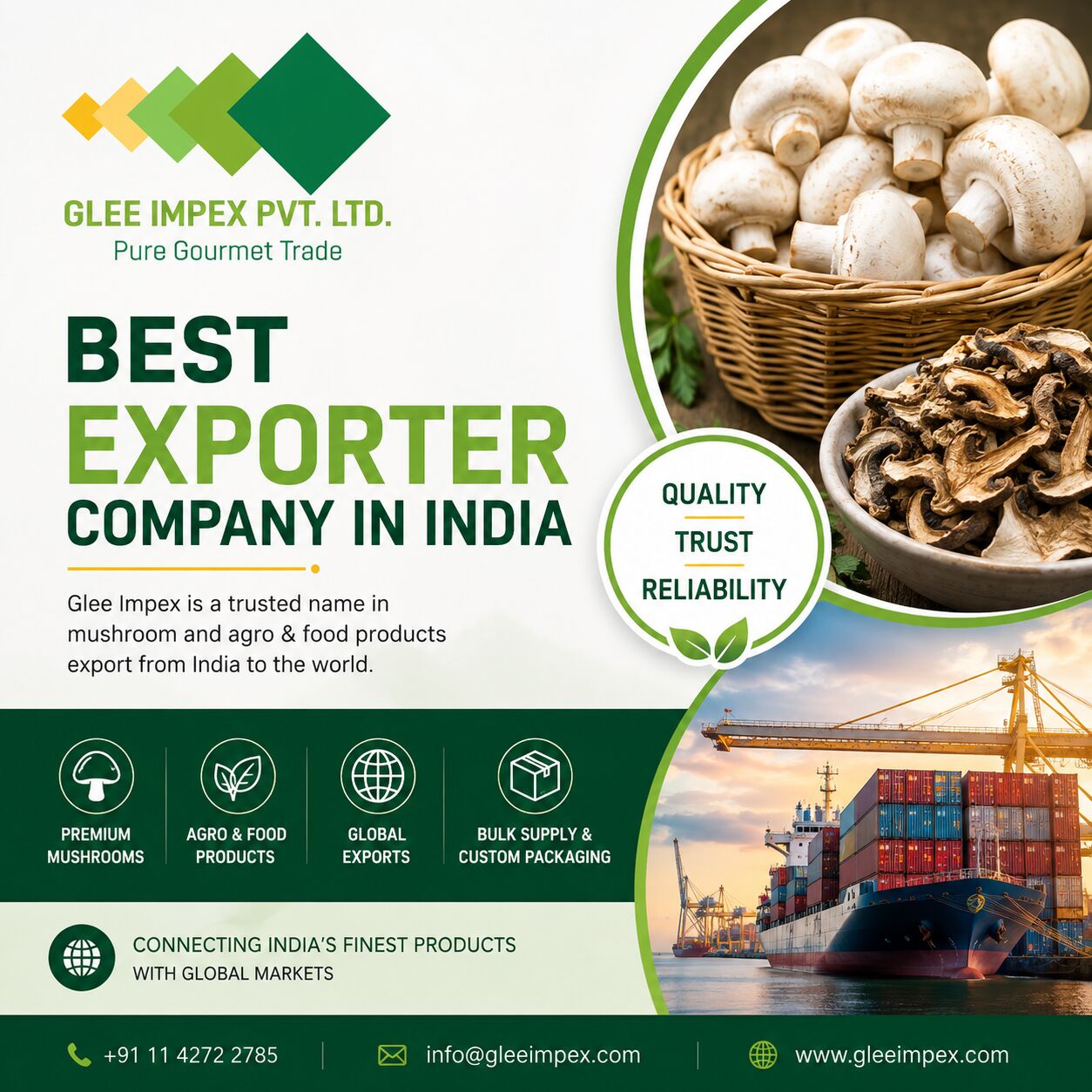 Best Exporter Company In India | Glee Impex – Premium Mushroom & Agro Food Exports