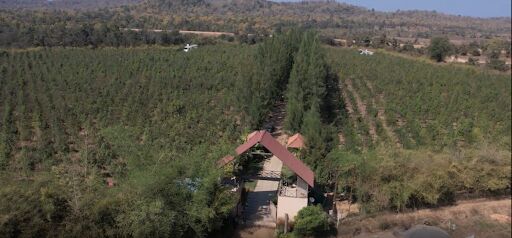 INR 00,  What Makes Agricultural Land Near Nagpur A Promising Investment?
