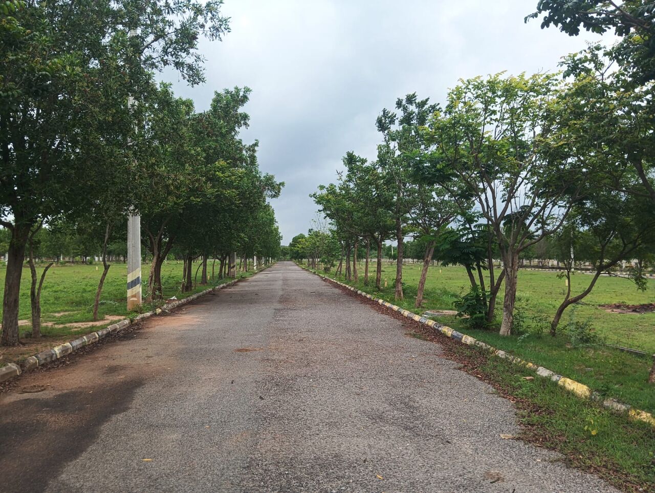 INR 13499,  180 Sq. Yard,  Best Investment Hmda & Rera Approved Open Plots For Sale Near Future City Fcda Office photo 1