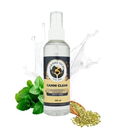 INR 299,  Cat Oral Hygiene Spray photo 1