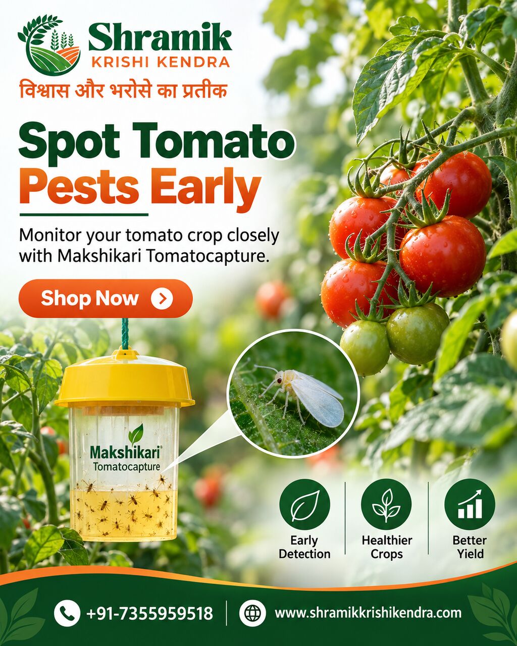 Hybrid Tomato Seeds - Shramik Krishi Kendra photo 1