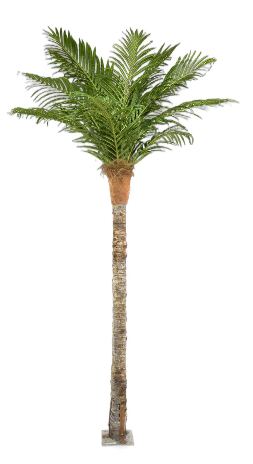Shweta Enterprise - Artificial Plants & Grass photo 2