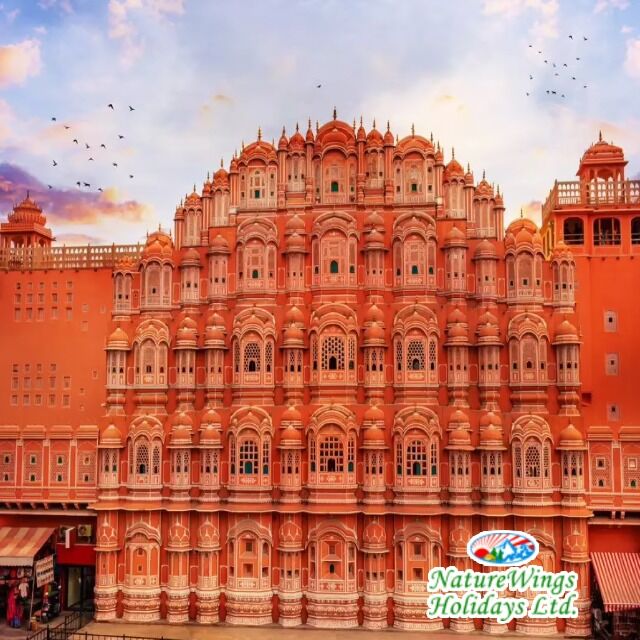 INR 52000,  Rajasthan Package Tour For Family Holidays And Group Trips photo 1