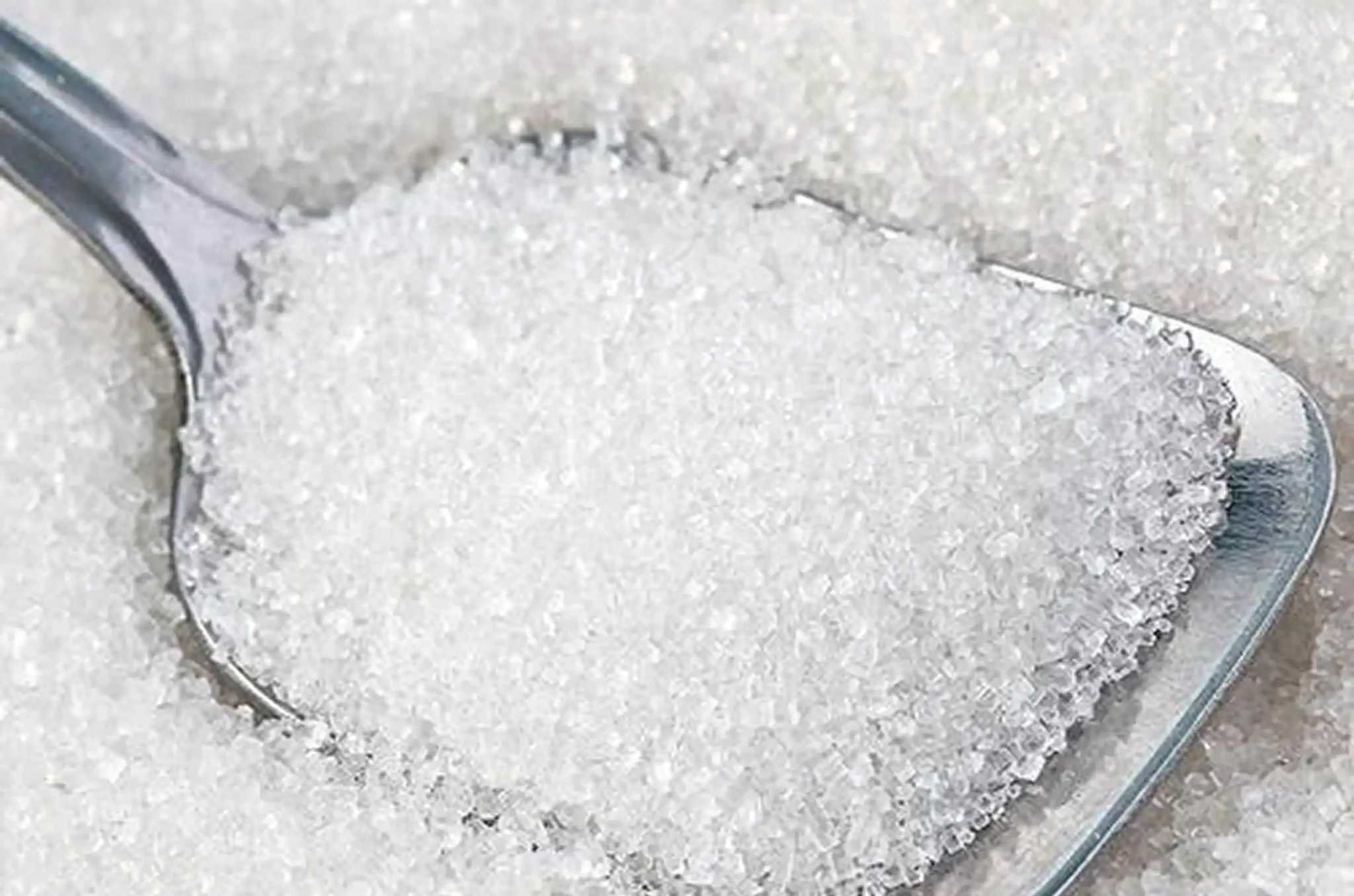 High-Quality Refined White Sugar Manufacturer in India photo 1