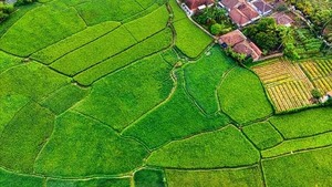 Investment Plot Available in Siolim, Goa - Panaji
